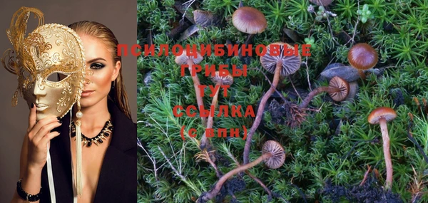 гидропоника Покровск